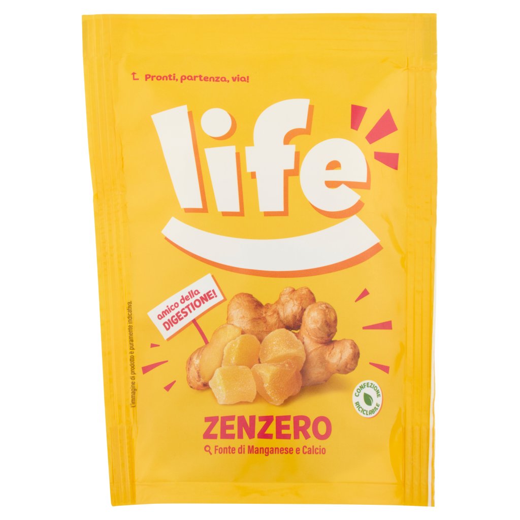 Life Zenzero