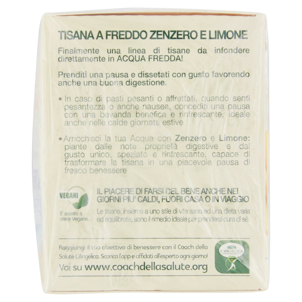 L'angelica Nutraceutica Tisana a Freddo Zenzero e Limone Digestiva 15 Filtri 26,25 g