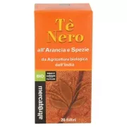 Sir Winston Tea Zenzero e Limone Tè Nero 20 x 1,75 g