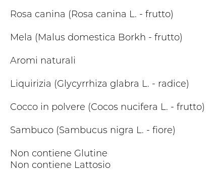 L'angelica Tisana a Freddo Ricarica & Vitalità 18 Filtri 32,4 g