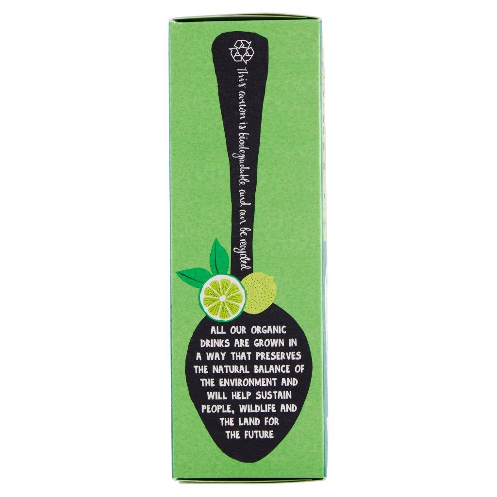 Clipper Te Verde Lime e Zenzero Biologico Fairtrade 20 Filtri