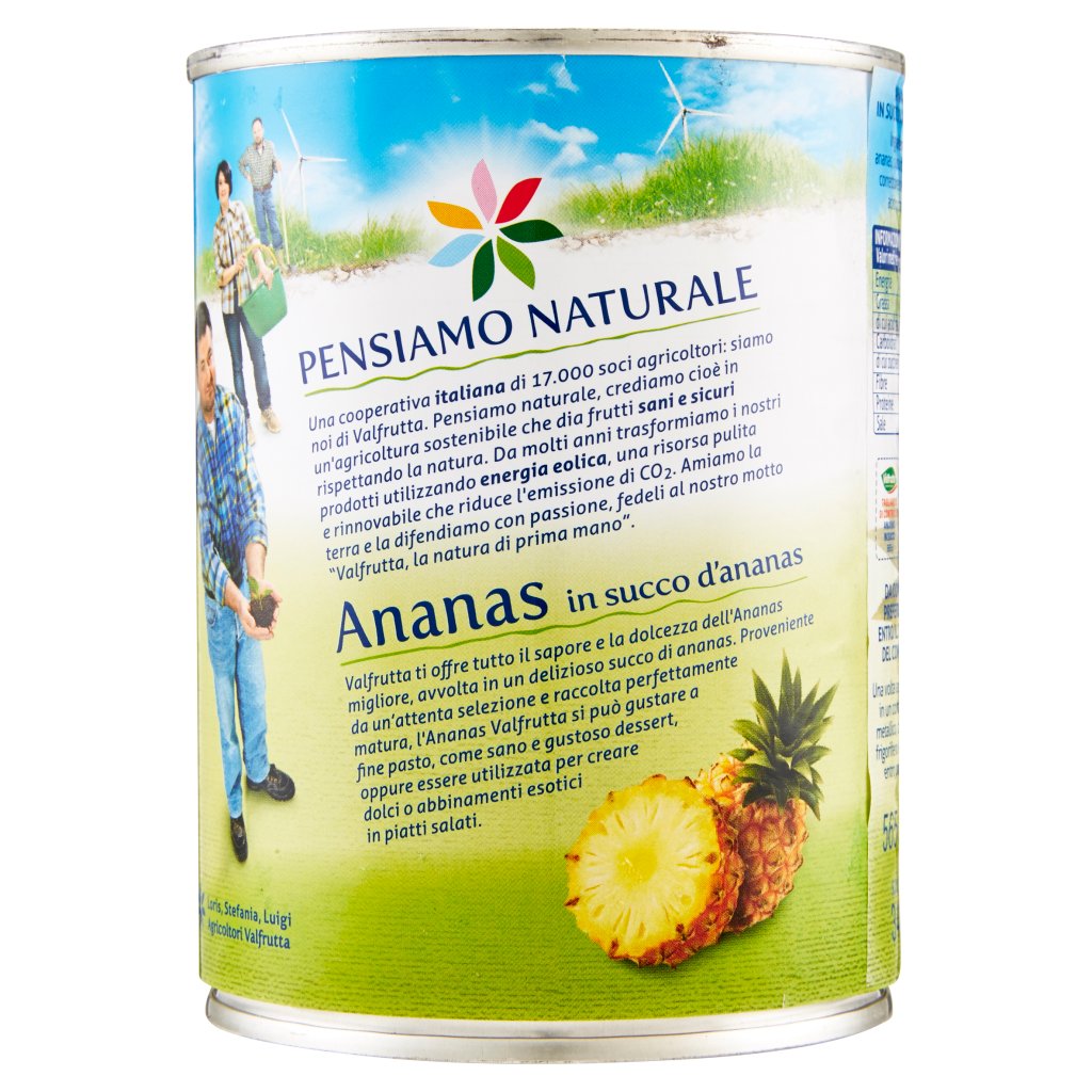 Valfrutta Valfrutta Ananas in Succo d'Ananas 565 g