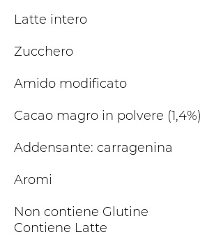 Salzburgmilch Budino al Cacao