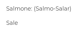 Calvisius Salmone Norvegese Taglio Sashimi Finemente Affumicato 0,100 Kg