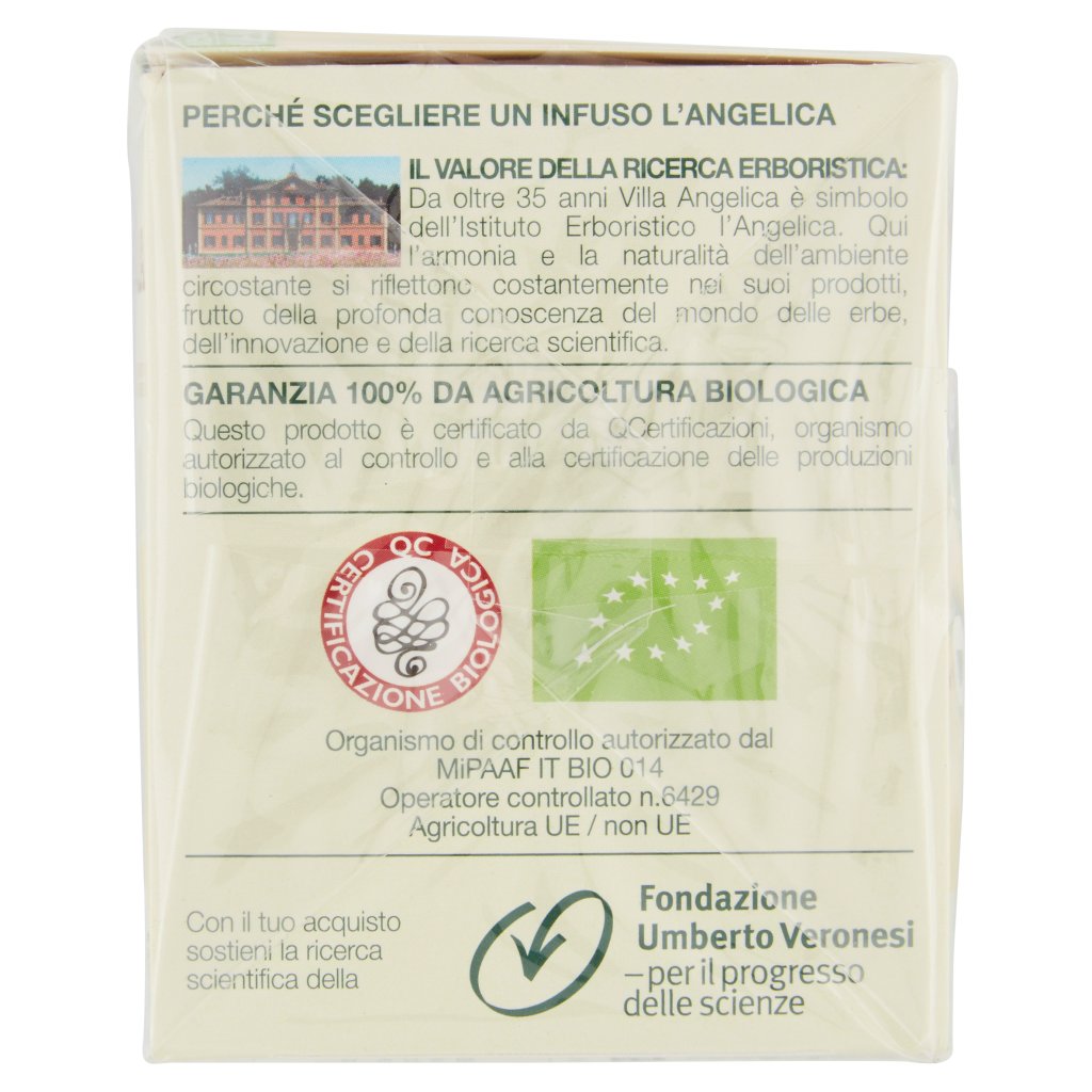 L'angelica Nutraceutica gli Infusi Pera & Cannella 20 Filtri