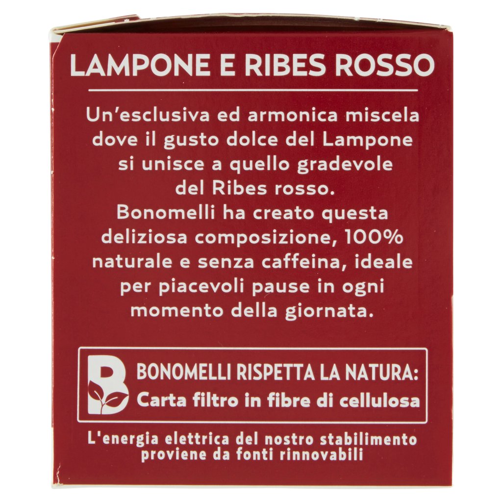 Bonomelli Infusi 100% Naturali Lampone e Ribes Rosso 10 Filtri