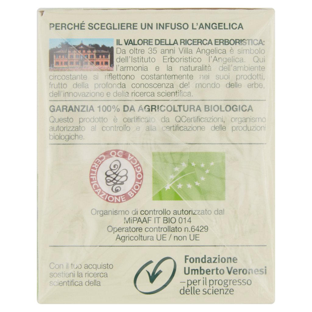 L'angelica Nutraceutica Bio gli Infusi Menta & Lime 20 Filtri