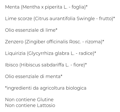 L'angelica Nutraceutica Bio gli Infusi Menta & Lime 20 Filtri