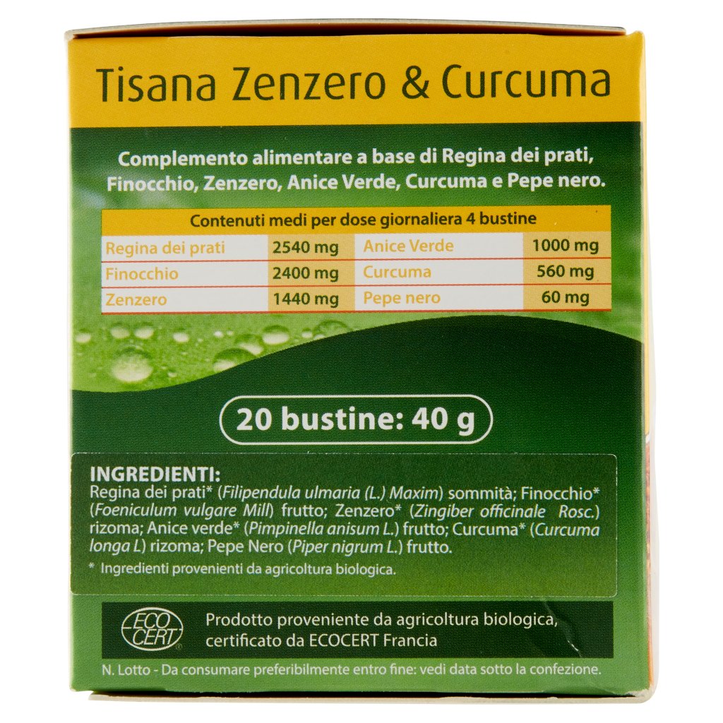 Laboratoires Vitarmonyl Bio Tisana Zenzero & Curcuma 20 Filtri