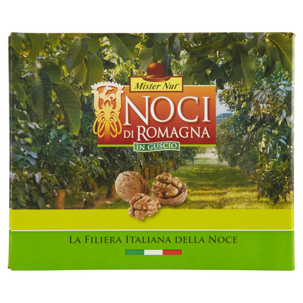 Mister Nut Noci di Romagna in Guscio