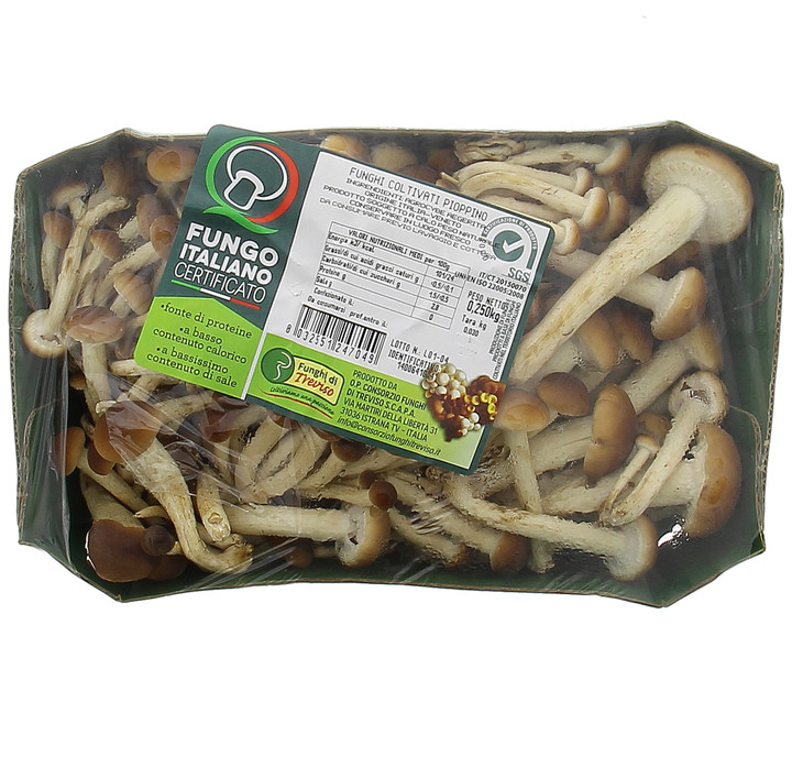 Funghi Pioppini Vass.Gr.250