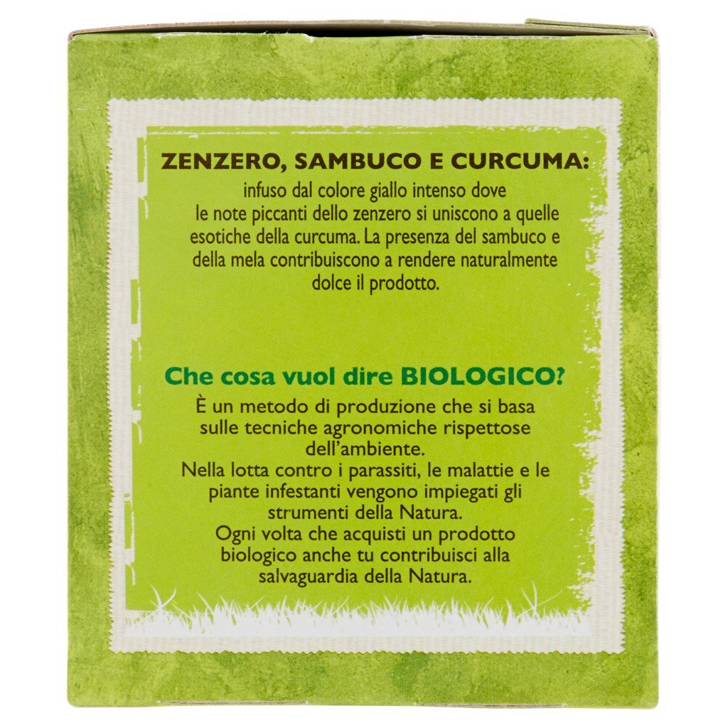 Bio Pam Panorama Bio Infuso di Zenzero Sambuco e Curcuma Biologico 20 x 1,85 g