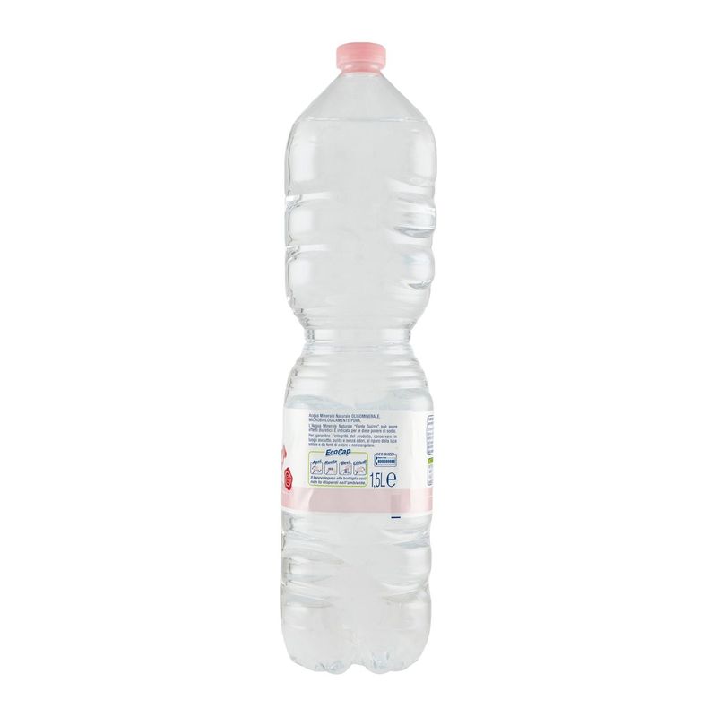 Guizza Alpe  Fonte  Caudana Naturale 1,5 l