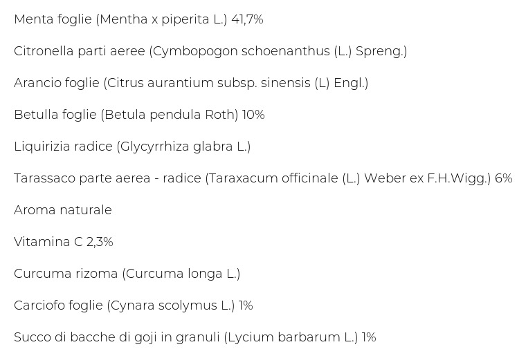 Bonomelli Tisane Detox 16 Filtri