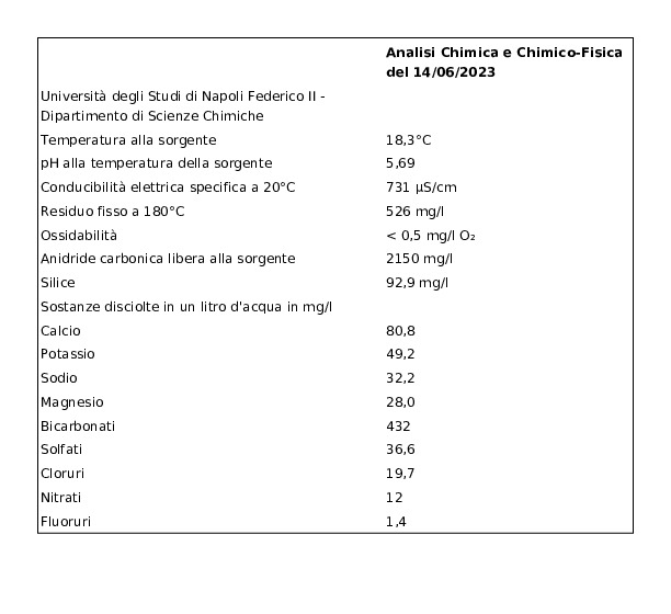 Acqua di Nepi Acqua Minerale Effervescente Naturale Pet